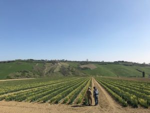 イタリア採種地